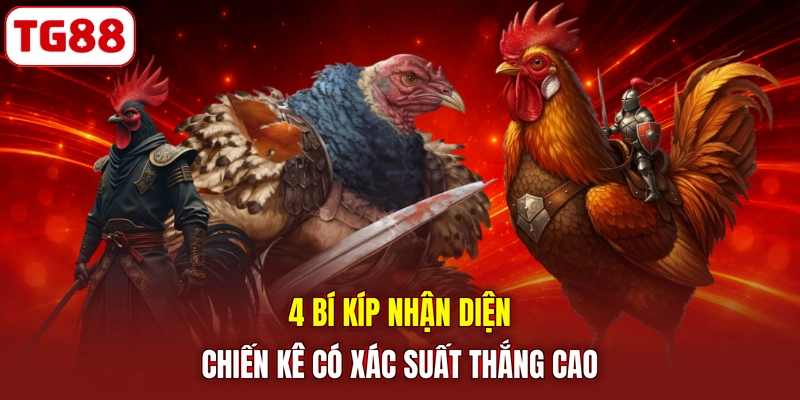 4 bí kíp nhận diện chiến kê có xác suất thắng cao