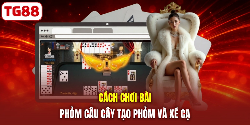 Cách chơi bài phỏm câu cây tạo phỏm và xé cạ