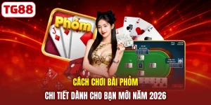 Cách Chơi Bài Phỏm Chi Tiết Dành Cho Bạn Mới Năm 2026