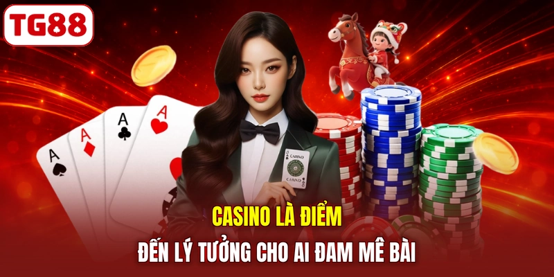 Casino là điểm đến lý tưởng cho ai đam mê bài