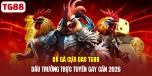 Đá Gà Cựa Dao TG88 | Đấu Trường Trực Tuyến Gay Cấn 2026