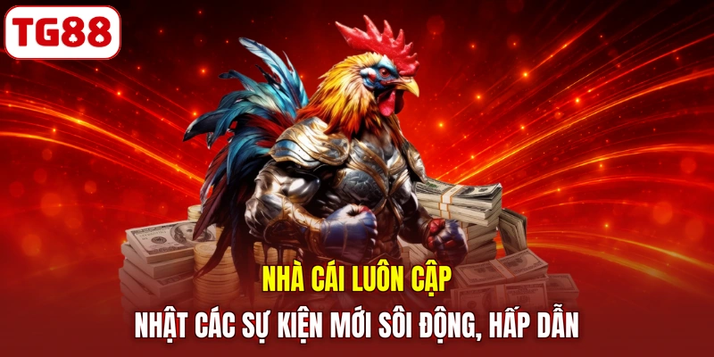 Nhà cái luôn cập nhật các sự kiện mới sôi động, hấp dẫn