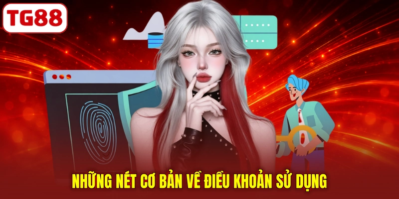 Những nét cơ bản về điều khoản sử dụng
