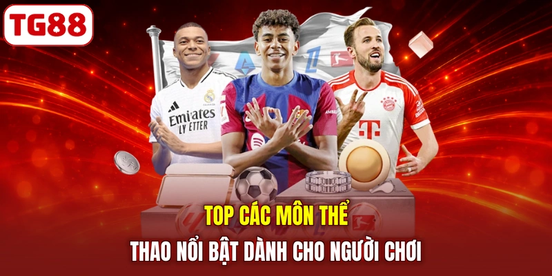 Top các môn thể thao nổi bật dành cho người chơi